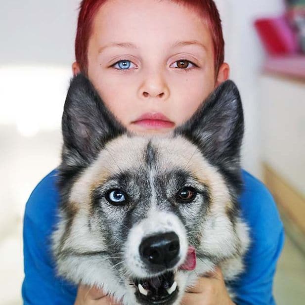 ww_heterochromia_row_4