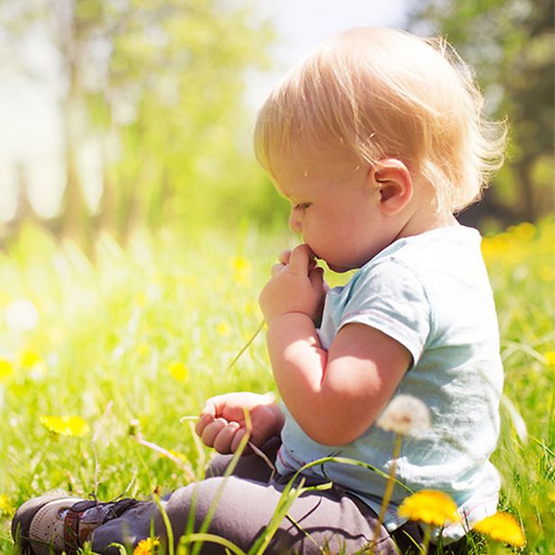 five_things_to_know_on_hayfever_row_7