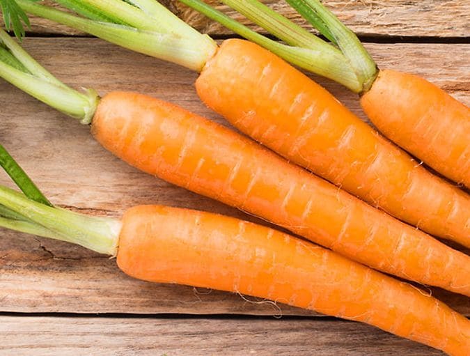 Are_carrots_good_for_the_eyesight_row_1