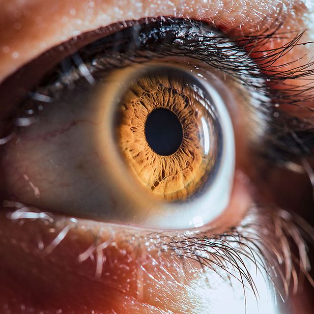 Eye_colour_can_change_row_4