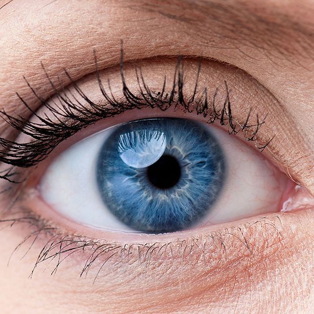 The_best_eye_colour_in_the_world_row_5